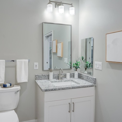 Bathroom options with thoughtful details a bathroom with a toilet and sink